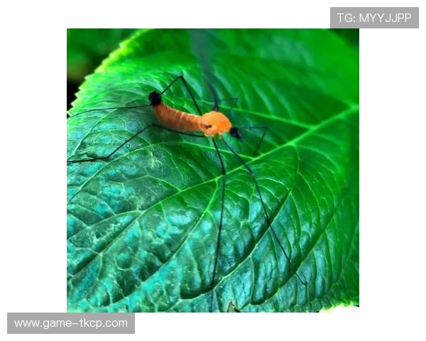 孙祥微博爆料幕后故事 网友热议球场内外的真实生活 孙祥微博爆料幕后故事 网友热议球场内外的真实生活